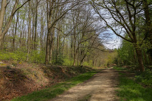 Photo 12- click for photo gallery